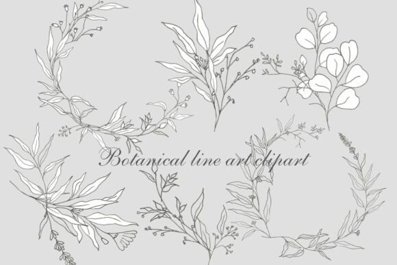 Minimalist Leaf and Floral Outline PNGs